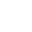 brain brain